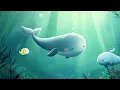 Relaxing Baby Music: You Are My Sunshine | Baby Sleep Music 🐋 3 Hours Bedtime Lullaby, Piano Music