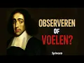 Download Lagu WAAROM je NATUUR observeren beter is dan gevoel volgen - Spinoza