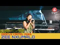Download Lagu Amapiano | Groove Cartel Presents Zee Nxumalo