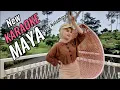 Download Lagu Maya Karaoke duet Lely naladhipa @lelynaladhipa