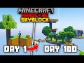 I Survived 100 Days on SKYBLOCK in Minecraft Hardcore
