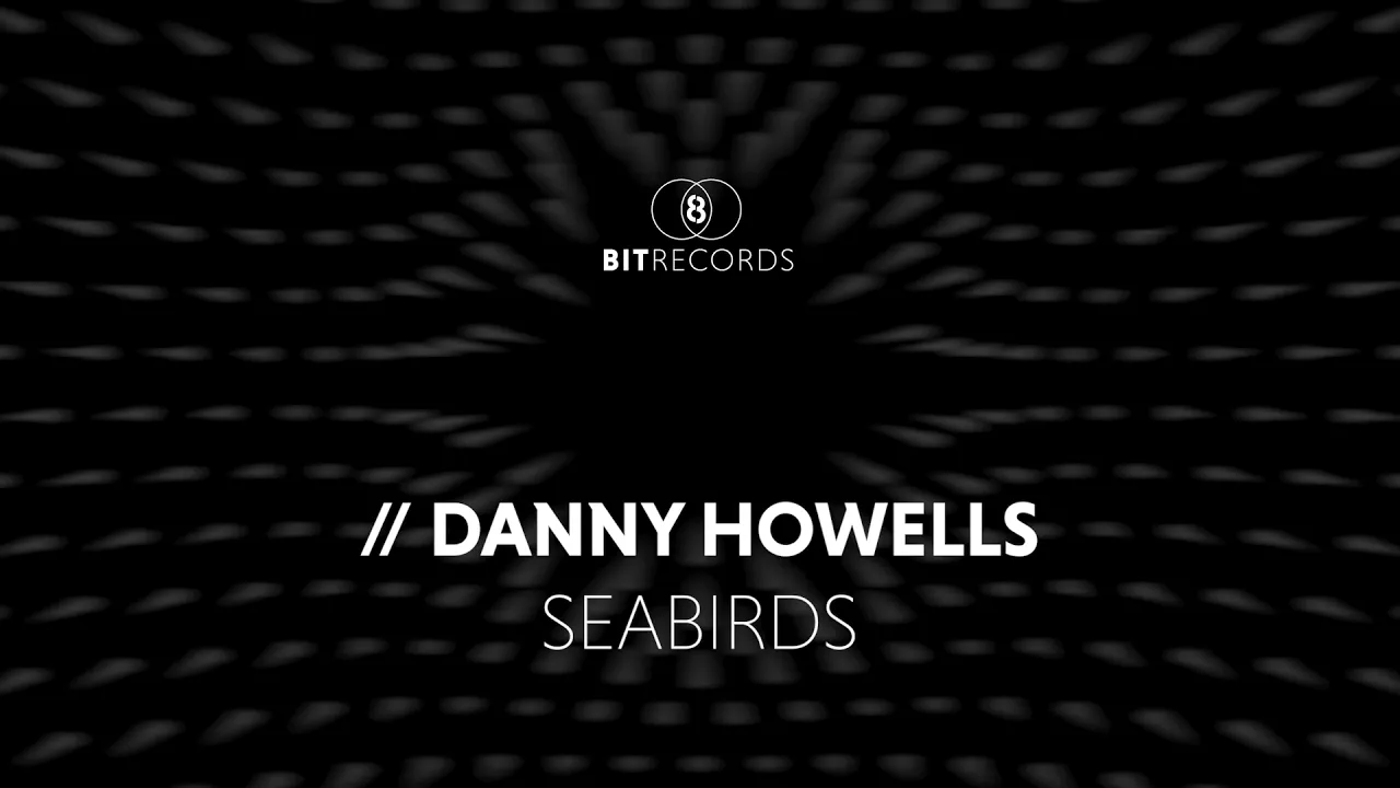 Danny Howells - Seabirds