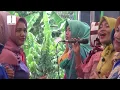 Download Lagu AM  PUANDAN