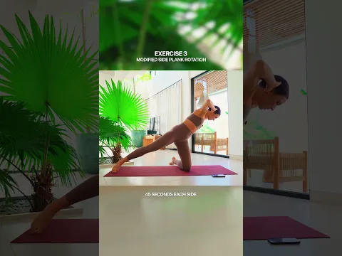 These Side Planks Will Test Your Core 🔥 Full Workout on My Channel #abs #workout @LillySabri