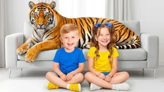 Magic Wild Animals Adventure!