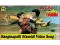 Lagu Banginapalli Mamidi Video Song || Kondaveeti Simham Movie || NTR, Sridevi
