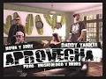 Aprovecha - Nova y Jory Ft Daddy Yankee (Oficial Remix) (letra)
