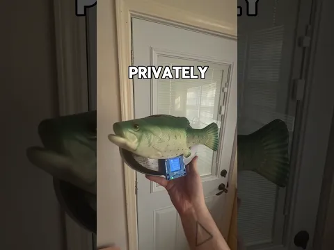 Ai Fish. 🐟