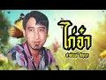 เพลง ไก่จ๋า สายัณห์ สัญญา LYRICS VIDEO พร้อมเนื้อเพลง