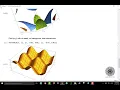 How to Graph 3D Functions in Mathematica