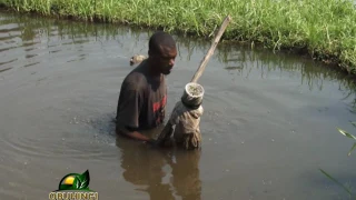 obuhingi noburiisa l1 5 7 2016