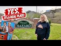 Looking for the Dukes in Hazard Kentucky