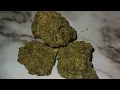 Gas mask strain-Review-