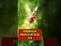 Download Lagu penampakan makhluk mitologi peri di dunia nyata #makhlukmitologi #makhlukmisterius #faktaunik #short
