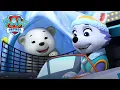 Misi Penyelamatan: Bayi Beruang Kutub Membutuhkan Bantuan Everest! | PAW Patrol | Episode Indonesia