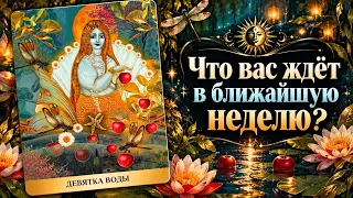 Что вас ждёт в ближайшую НЕДЕЛЮ? Гадание на таро расклад онлайн предсказание Tarot Cards 