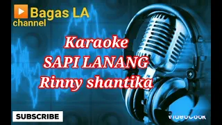 Download Sapi Lanang_Rinny shantika_karaoke MP3