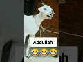 Download Lagu bakri funny video #abdullah APNI name ki video k Liye comment Karen