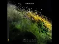 Fractal - Tinlicker