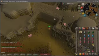 Mole 80 Pace - Spec Transfer Alt