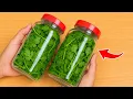 How to Preserve Cilantro for 1 YEAR - No Spoilage No Freezer Needed Clever Tricks