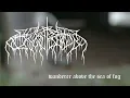 Wolves in the Throne Room - Wanderer above the Sea of Fog // Acoustic Black Metal Cover