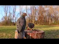 Mourning Dove Special | Mourning Dove Call, Cat TV, 5 HOURS of Birds Singing, No loop, 4K HDR