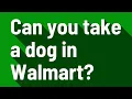 Can you take a dog in Walmart