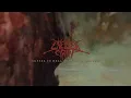 Chelsea Grin - Suffer In Hell, Suffer In Heaven (Visualizer)