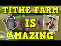The New Tithe Farm Is Amazing Tithe Farm Guide 2023