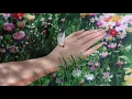 JMSN  - Bout It (Slowed & Reverb)