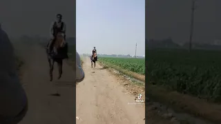 ولابد عن يوم محكوم تترد فيه المظالم كلام صعيدى روعة    دندنها