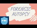 Forensic Autopsy Autopsy in Forensic Medicine Post mortem examination