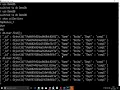 Java MongoDB connectivity