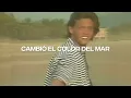 Luis Miguel - La Chica del Bikini Azul (Lyric Video) | CantoYo
