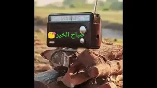 اذاعة المملكة العربيه السعوديه 