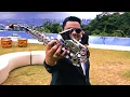 Download Lagu Honey, My Love, So Sweet - April Boys Sax Cover