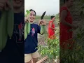 Download Lagu ke kebon dulu 🤭🤭 #kebun #yotubeshorts #youtubevideo #youtubevideos #youtuber