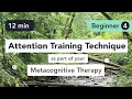 Lagu Attention Training Technique (ATT) in Metacognitive Therapy. (Beginner 4)