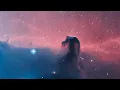 The Algorithm - Sentinel Node Universe Mashup