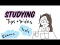 Studying