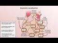 Intro to EKG Interpretation - Myocardial Infarctions Part 1 of 2