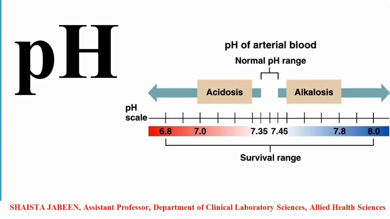 pH | Hydrogen Ion Concentration | Normal pH Range | Survival Range | Acid Base Balance | Physiology