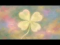 Write your wishes and they will come true