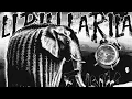 Download Lagu HIMXN - LIRILI LARILA FUNK (Ultra Slowed)