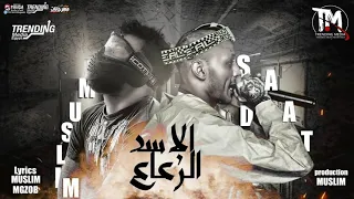 مهرجان هضرب عيار ع الجسد السدات العالمي   مسلم دندنها