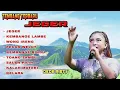 Lagu Wong ireng - dede risty | kumpulan lagu tarling full album terbaru 2024