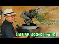 Download Lagu MEMANG BEDA KALAU KOLEKSI BONSAI PARA TRENER