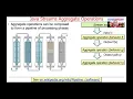 Common Operations in Java Streams
