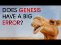 Camels Biblical Archaeology